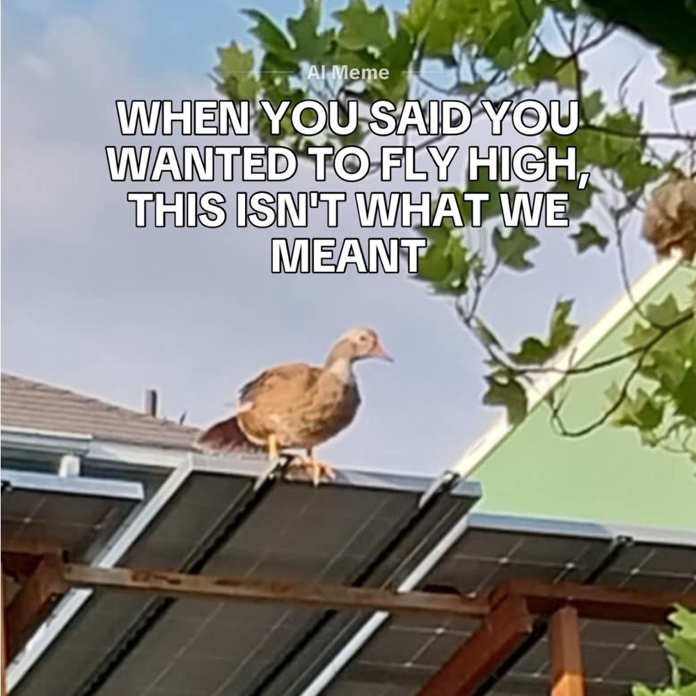 Live Listing - Picture 4 of 16
